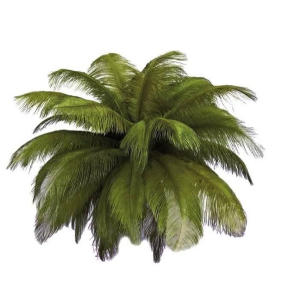 10 count | Sage Olive Green Feathers size 12-14 inches Wedding Bouquet Decor - Picture 3 of 3